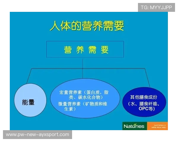 运动员营养师分享赛季饮食管理心得被广泛引用,运动员膳食营养的要求和原则有哪些 运动员营养师分享赛季饮食管理心得被广泛引用,运动员膳食营养的要求和原则有哪些